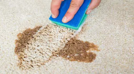 How Can Dish Soap Fall on Carpets