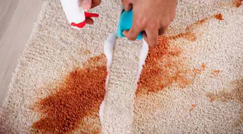 How Long It Will Take To Remove the Ink Stains From the Carpet