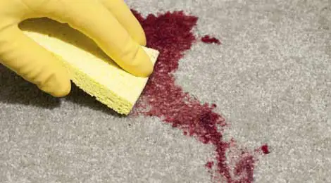How to Get Ramen Stain Out Of Carpet: A Beginner's Guide