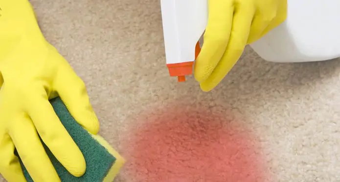 How to Get Red Gatorade Out of Carpet