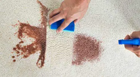 Ramen Stains and Their Harmful Effects on Carpets