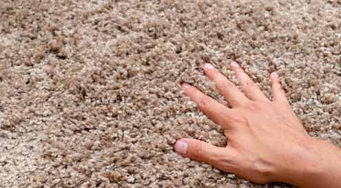 The Benefits of Getting Wrinkles Out of Your Carpets