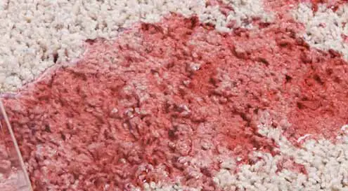 Identifying and Analyzing the Nature of the Red Gatorade Stain on Carpet
