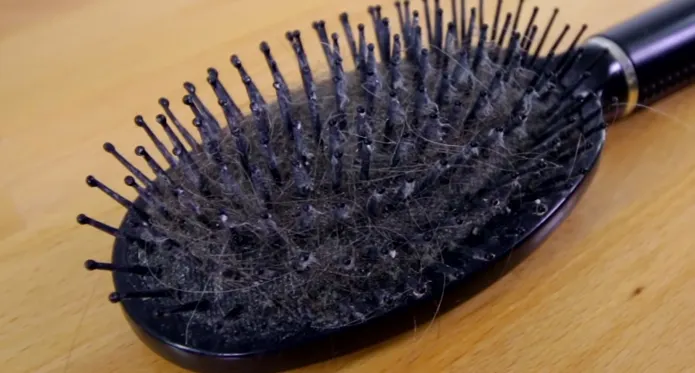 How to Get Lint Out Of Hairbrush Easily