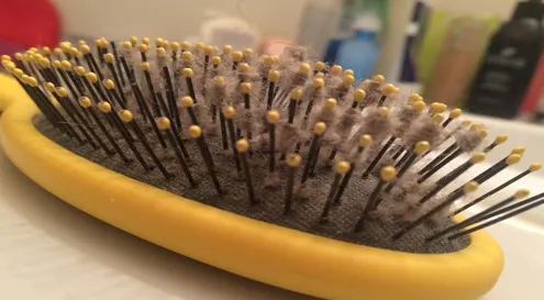 How to Get Lint Out Of Hairbrush
