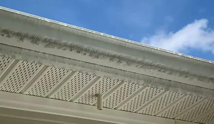 Scrubbing black streaks from gutters