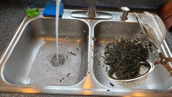 Can You Throw Loose Tea Leaves Down the Drain