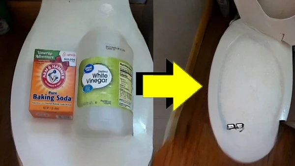 How Do Baking Soda and White Vinegar Work Together