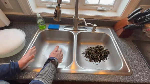 How to Clear Tea Leaves in Drain