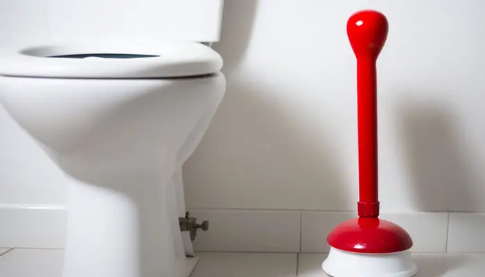 Toilet bowl plunger