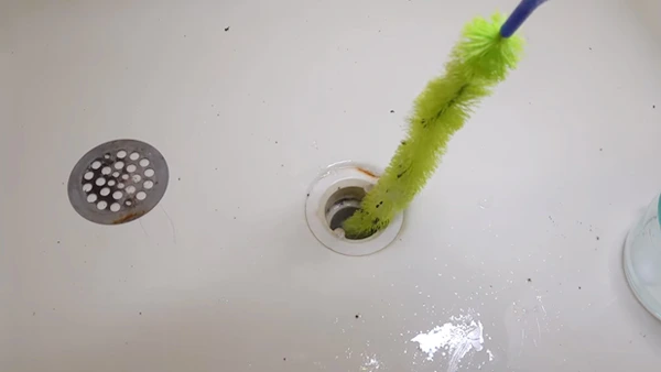 How Often Should You Clean the Shower Drain Black Sludge