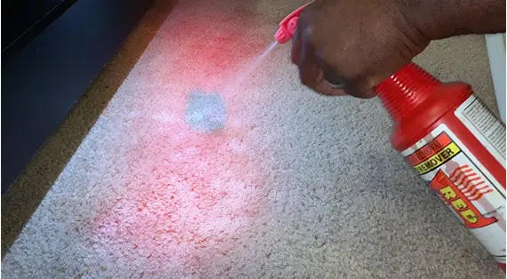 Steps for Removing to Clean and Get Red Gatorade Out of Carpet