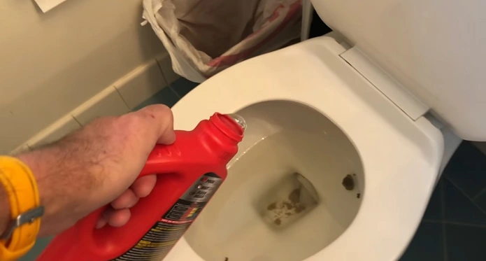 Can You Put Drain Cleaner in a Toilet