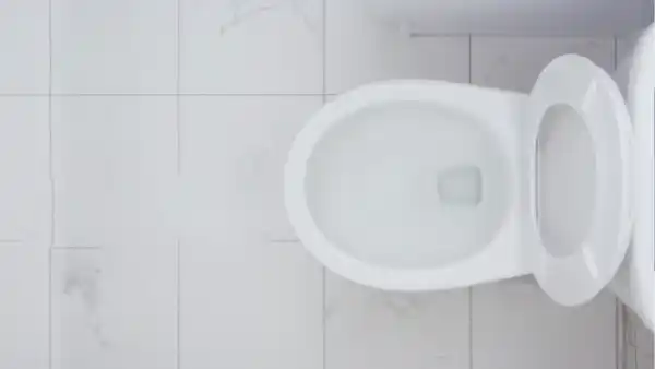 Does Bleach Damage Toilet Bowls