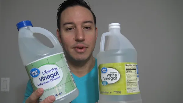 Does Vinegar Actually Remove Rust from Door Hinges