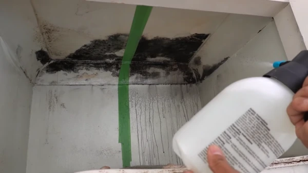 Does Vinegar Damage Bathroom Wall Paint