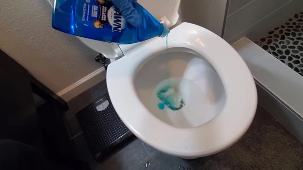How Can You Put a Drain Cleaner in a Toilet for Unclogging Pipes
