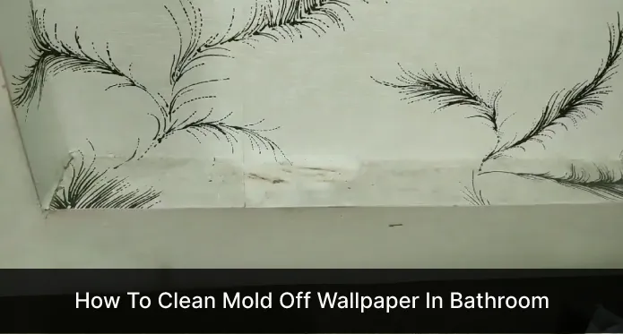 How To Clean Mold Off Wallpaper In Bathroom | Just 6 DIY Steps