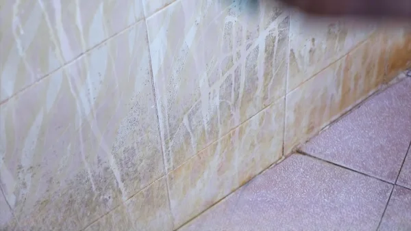 How To Clean Urine Off Bathroom Walls Without Damaging Them