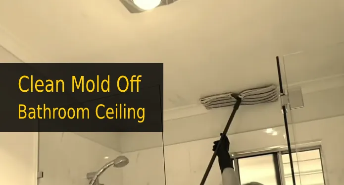 How to Clean Mold off Bathroom Ceiling Naturally