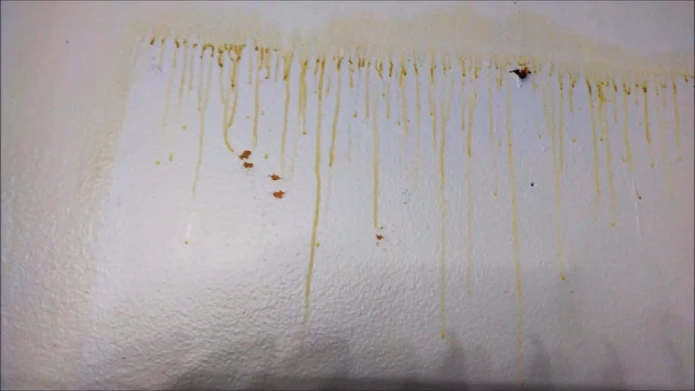 How to Clean Yellow Drips on Bathroom Walls