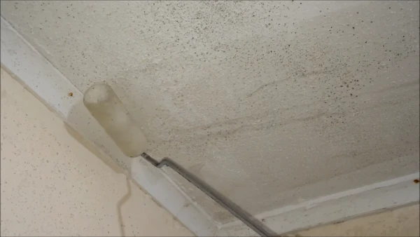 bathroom ceiling mold