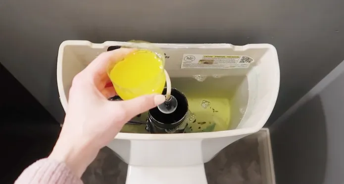 How to Keep Toilet Bowl Clean While on Vacation