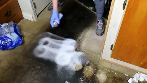 Is It Okay to Use Bleach Straight On the Bathroom Floor