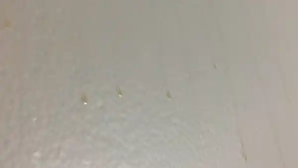 Is it Normal for Bathroom Walls to Sweat
