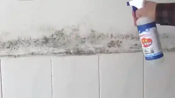 Bathroom mold removal