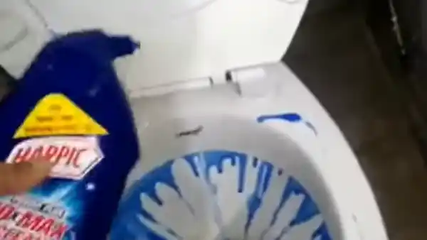 Safety Precautions When Cleaning Harpic Stains From Toilet Seats