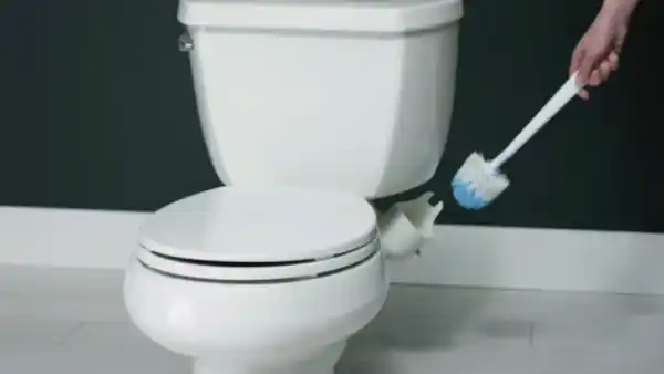 Scrub Thoroughly with Toilet Brush