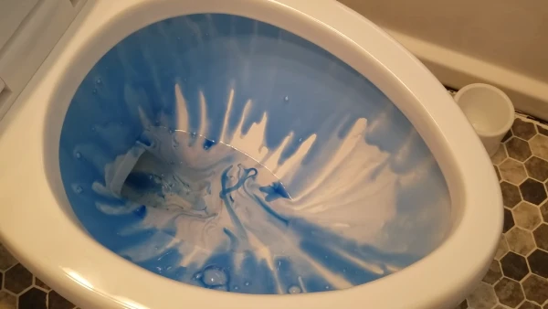Should You Use Toilet Bowl Cleaner Every day