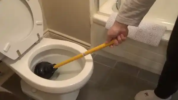 Vomit drain cleaners chemical toilet plungers
