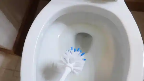 What Build Up Without Cleaning the Toilet Bowl While on Vacation