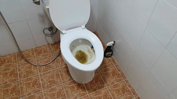 What Happens When You Put Drain Cleaner in Toilet Pipes