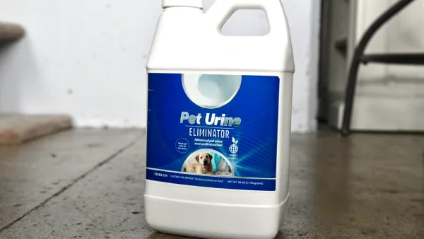 What You Can Do To Clean Cat Urine from Your Bathtub