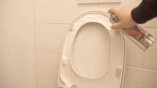 Clean a Urine-Stained Toilet Seat