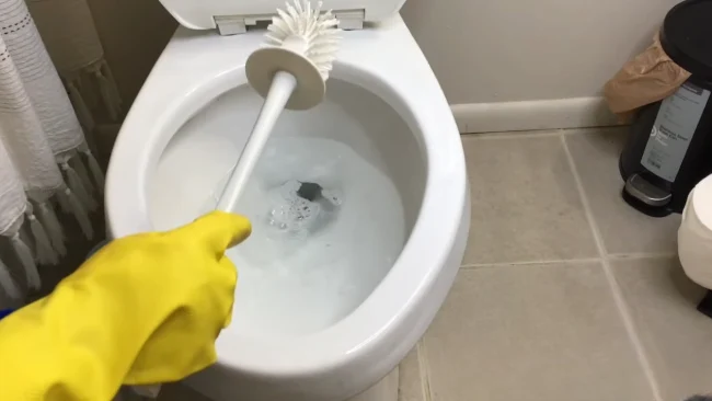 Maintain Bathroom Hygiene