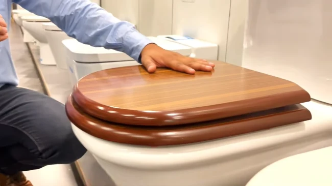 Maintaining Wooden Toilet Seats