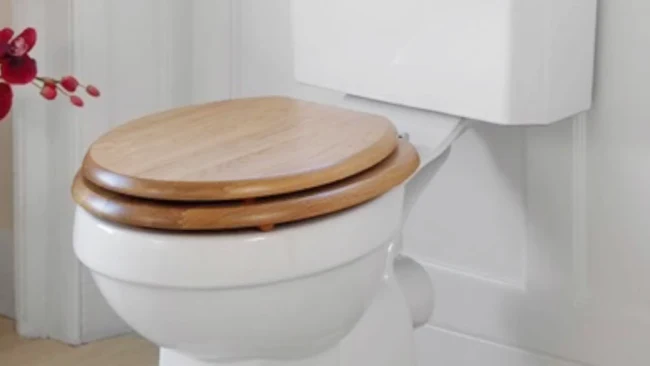 Remove Stains From Wooden Toilet Seats