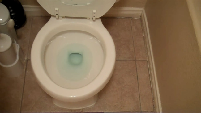 What diseases can you get from toilet water