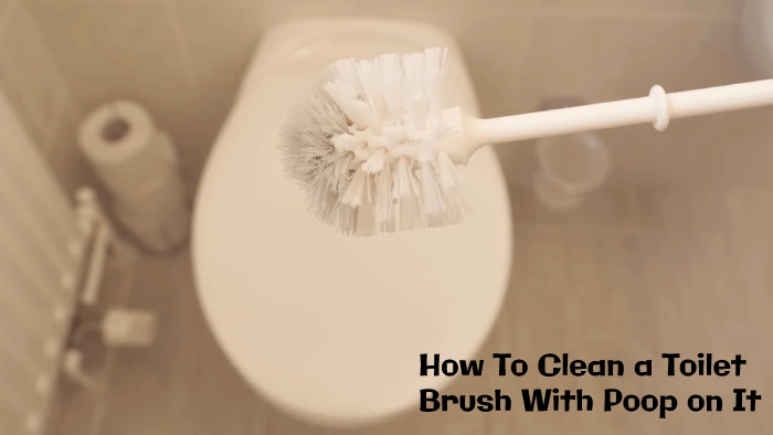 how to clean a toilet brush with poop on it