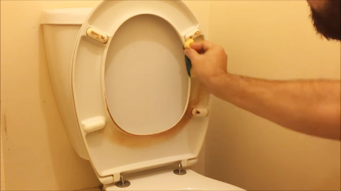 how to clean a urine stained toilet seat