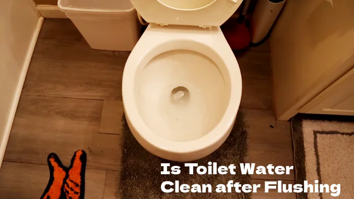 Is Toilet Water Clean after Flushing: Astonishing Facts