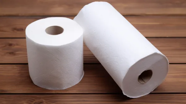 7 Differences Between Toilet Paper & Paper Towel