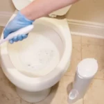 Are Clorox Toilet Wand Flushable