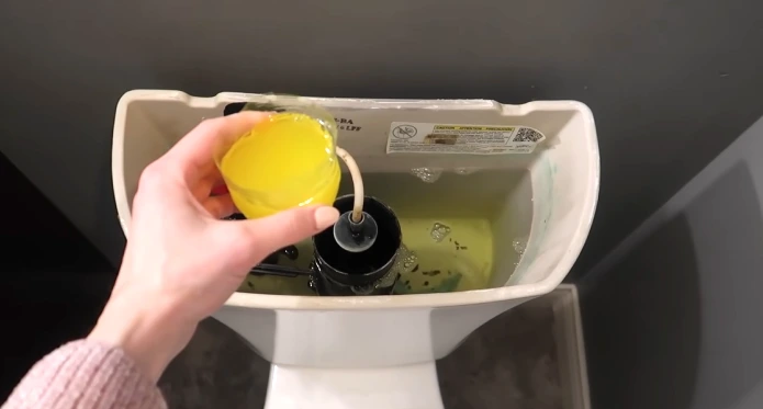 Can You Put Bleach in Toilet Tank: 5 Consequences