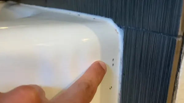 Eight Effective Ways to Get Rid of Ants in Bathroom Drains