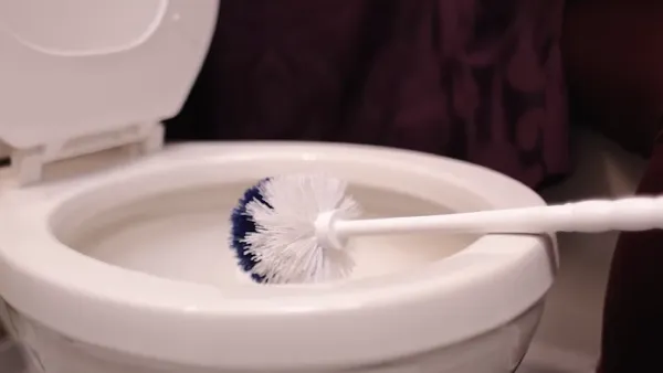 How to Clean Toilet Plunger After Use to Maintaining Hygiene: A Step-by-Step Guide